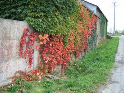 Balade autour de Retiers